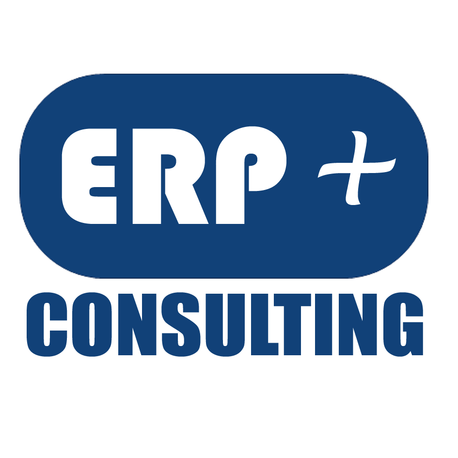 ERP PLUS CONSULTING